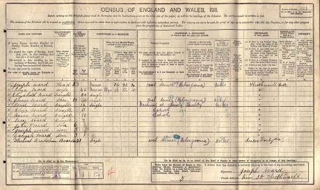 Ward 1911 Census